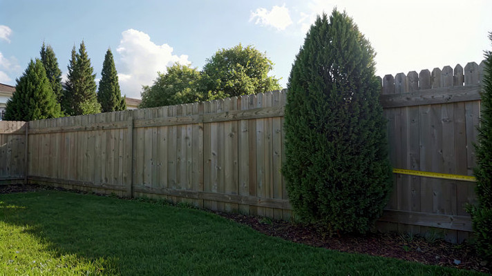 庭院木栅栏绿植景观