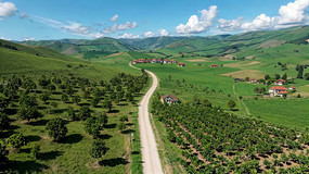 �����԰��⺽��ȫ��