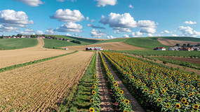 տũȫ