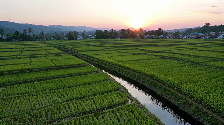 夕阳下的稻田与村庄全景 夕阳下的稻田与村庄全景