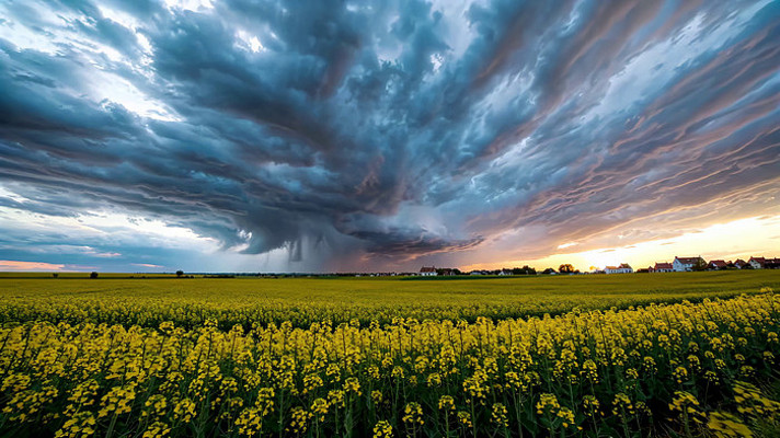 油菜田野上的乌云风暴景观 油菜田野上的乌云风暴景观