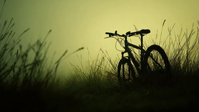 ݵϵгӰ