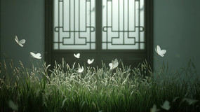 ǰݵ