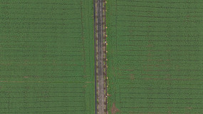 ������ƽ���ϴ���ɫ�Ͳ˻��ﺽ��