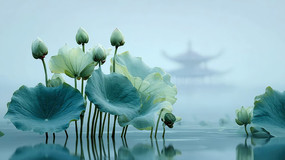 ɻҶŷ羰