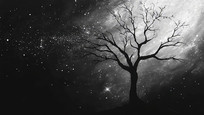 žҹյǹӰ