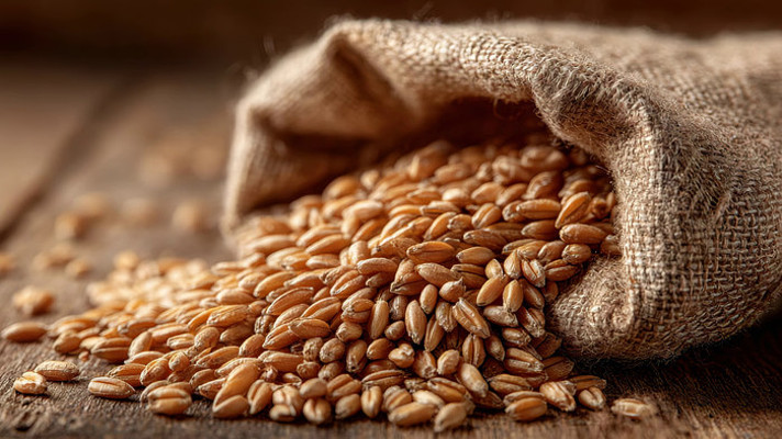 麻袋中的小麦特写