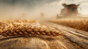 Զո