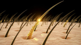 ë޸չʾ