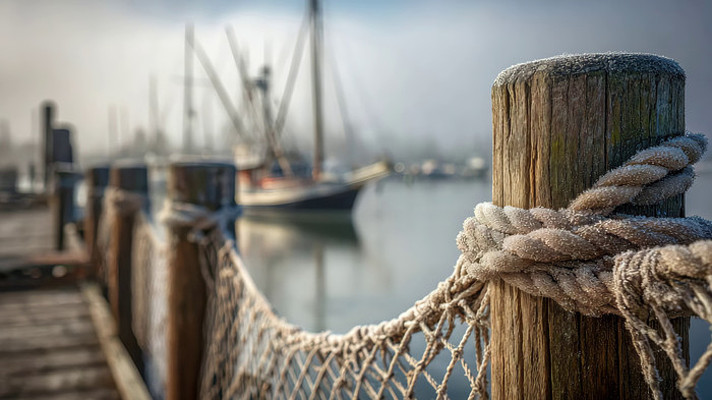 码头木桩绳索及远处船只