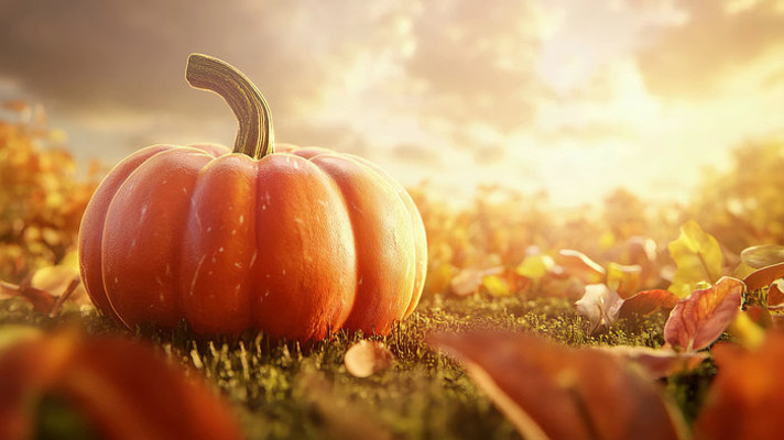 秋日南瓜丰收场景