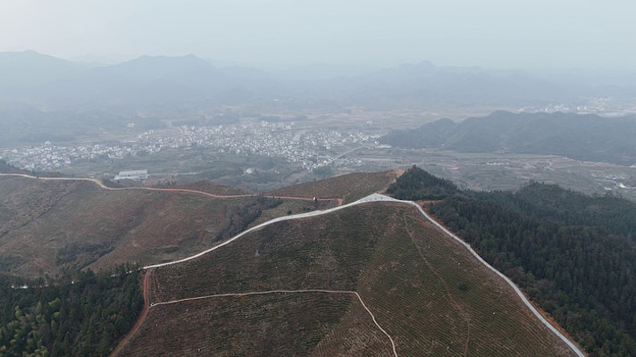 改造成茶园的山坡与远处的村庄