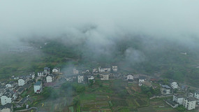峿еϴׯɫ