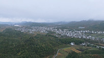 ȫ