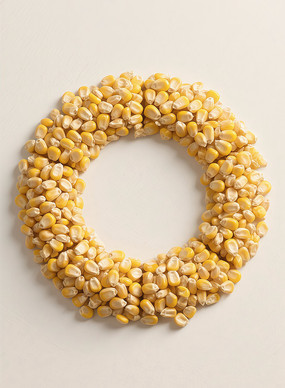 ӸʳĴ