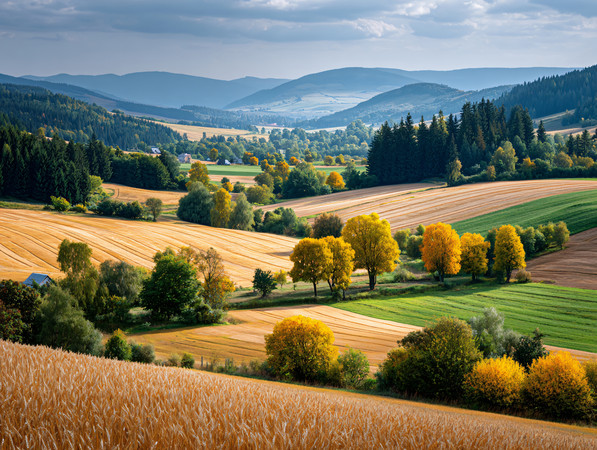 µɽȺƽԭ羰＾ͼƬ