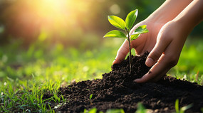 ��������������