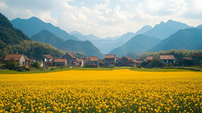 ��ׯ���ϵ��Ͳ˻���