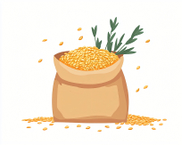 ���������ʳ