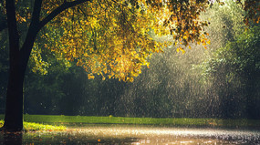 �����µ�����