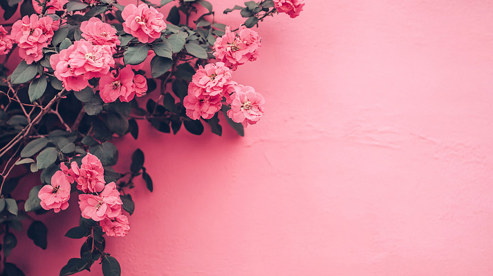 ��ɫ���䱳��ͼ JPG