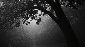 �ڰ�ɫ�Ĵ���