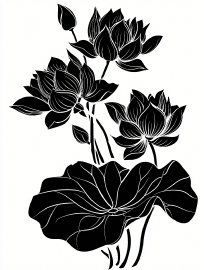 ��ɫʢ���ĺɻ�