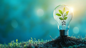 ������Ҷ����ͼ