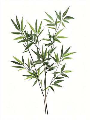 绿色竹子 绿色竹子