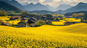 �������Ͳ˻�