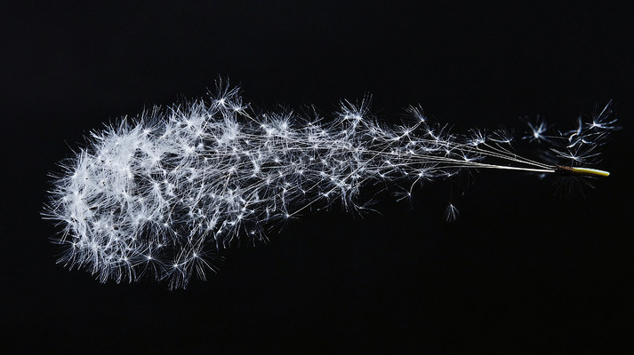 �ѹ�Ӣ��ë����ͼ JPG