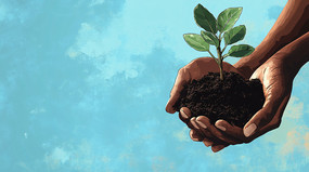 ����ֲ��