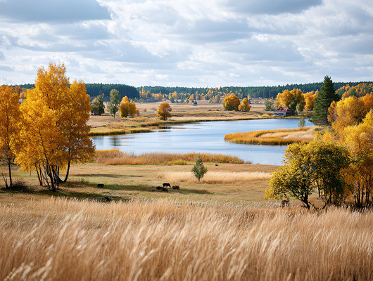 µĺͲݵط羰＾ͼƬ