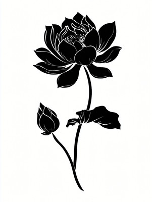 һ���ɫ�ɻ� JPG