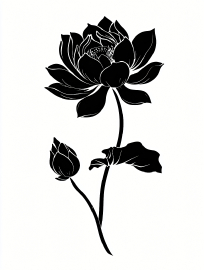 һ���ɫ�ɻ�