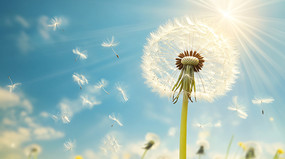 һ���ѹ�Ӣ����ͼ