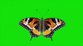 Ļز