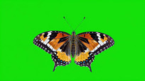 Ļز