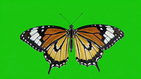 Ļǰĺز