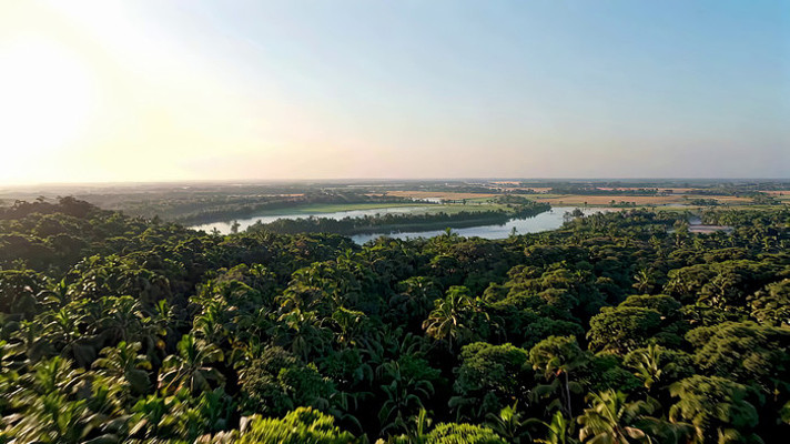 森林高空俯瞰全景 森林高空俯瞰全景