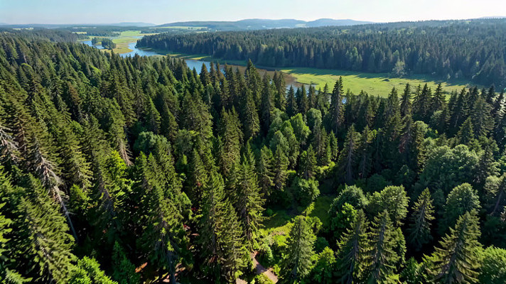森林湖泊鸟瞰全景 森林湖泊鸟瞰全景