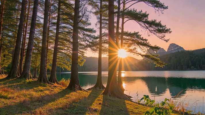 森林湖畔日落自然风光 森林湖畔日落自然风光
