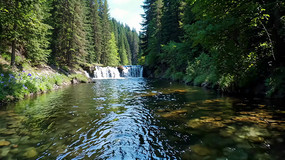 ɭкСٲ