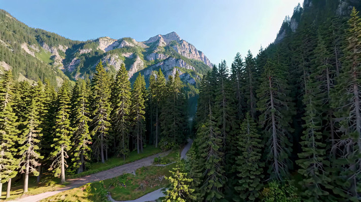 山林间茂密森林鸟瞰 山林间茂密森林鸟瞰