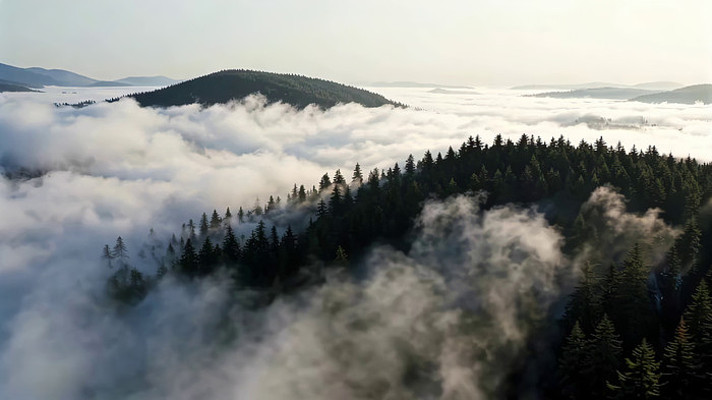 山林云海全景 山林云海全景