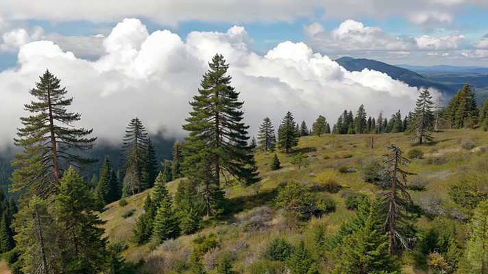 山林云海自然景观 山林云海自然景观