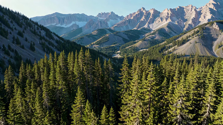 ɽ����Ȼ���ȫ��