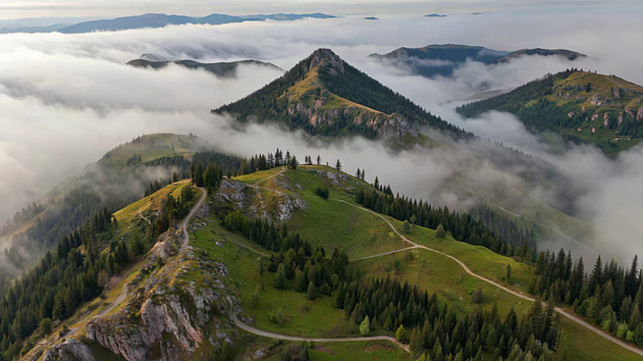 ɽ���ƺ�ɭ�ֺ��ľ���