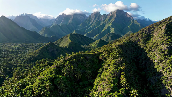 山脉森林自然风光俯瞰 山脉森林自然风光俯瞰