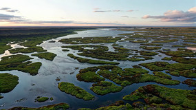 ʪȻȫ